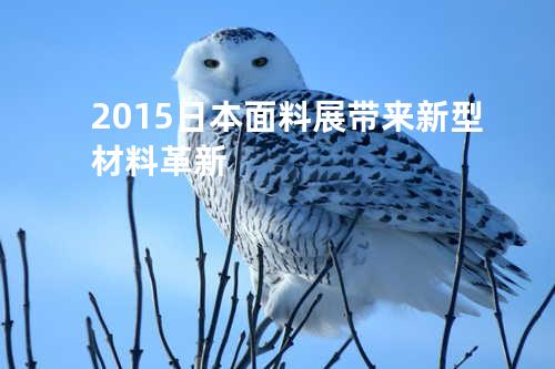 2015日本面料展带来新型材料革新